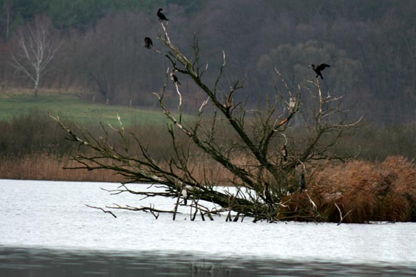 Killikus&reg; Fotographie